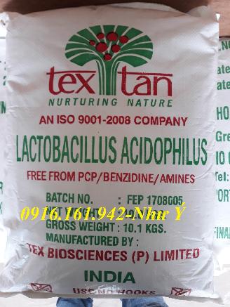 Lactobacillus Acidophilus: Men đường ruột cao cấp, ngừa phân trắng hỗ trợ tiêu hóa cho tôm cá