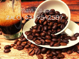 cung cấp cà phê hạt giá sỉ ổn định tại thị trường Bình Định