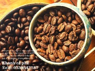 cung cấp cà phê máy nguyên chất Quảng Ninh ,giá sỉ ổn định 12 tháng