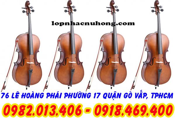 dan-cello-1-tuivang.vn-1714293670806.jpg