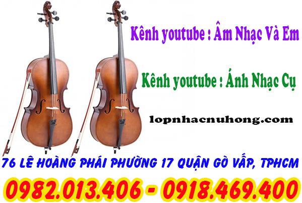 dan-cello-2-tuivang.vn-1714293684387.jpg