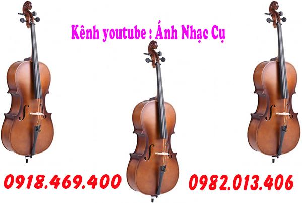 dan-cello-6-tuivang.vn-1714293692261.jpg