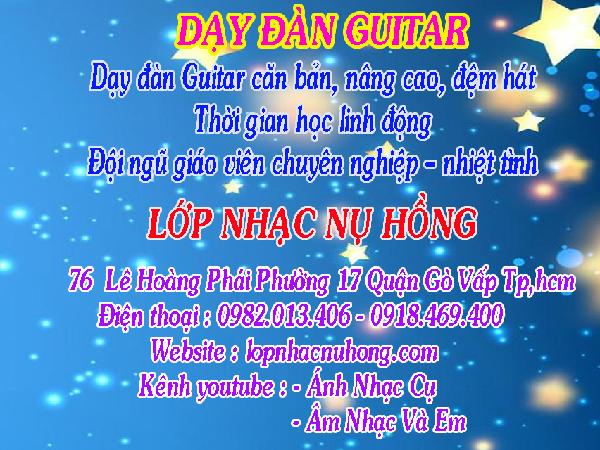 day-dan-guitar--(7)-tuivang.vn-1615795035175.jpg