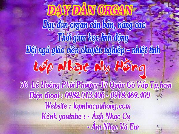 day-dan-organ-(11)-tuivang.vn-1615795430745.jpg