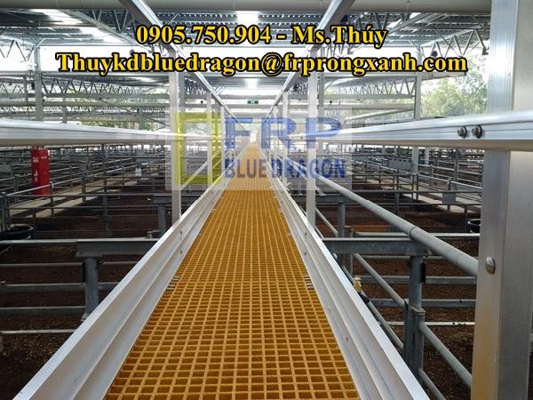 roof-walkways-guardrail-systems-7-tuivang.vn-1527059198704.jpg